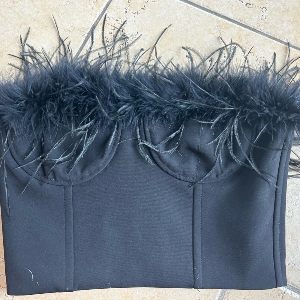 NWT strapless corset with feather detail.   Never worn   Paid $99